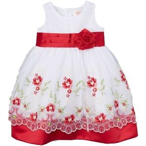 Fancy Embroidered Party Dress